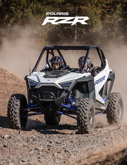 polaris buggy